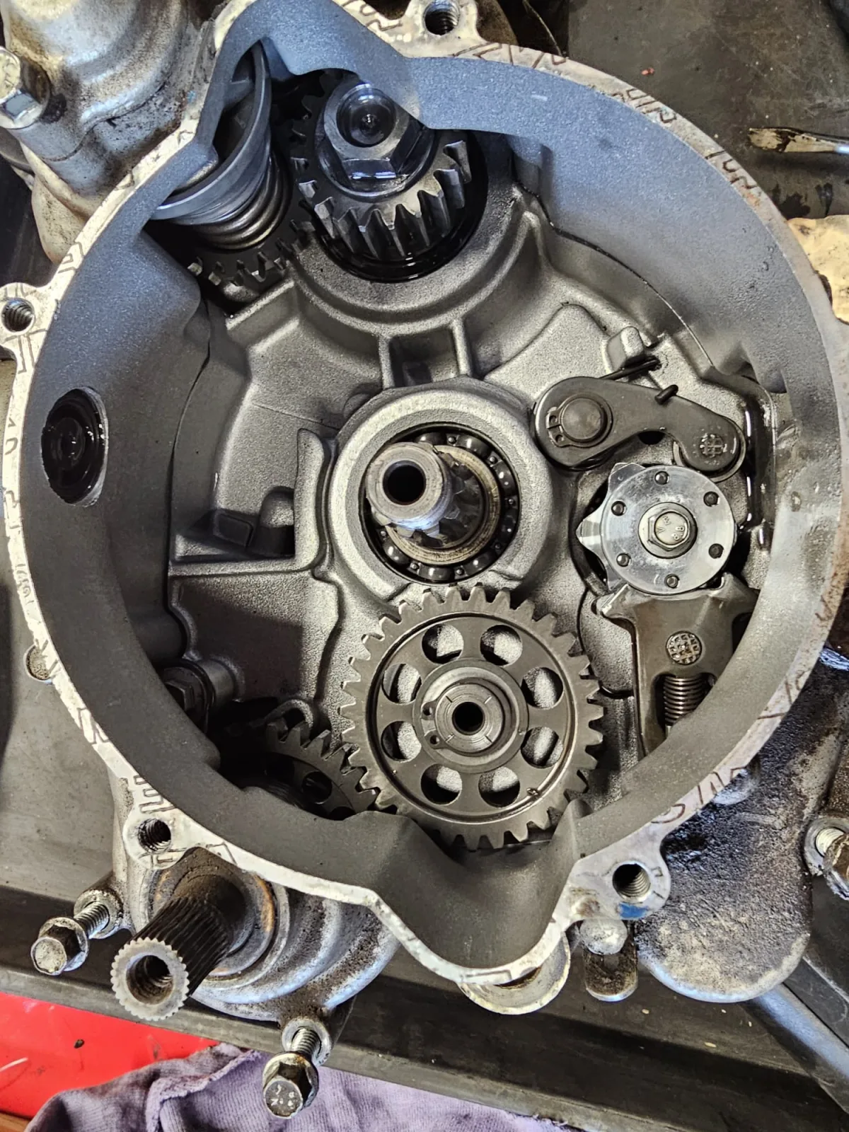 Bottom end rebuild