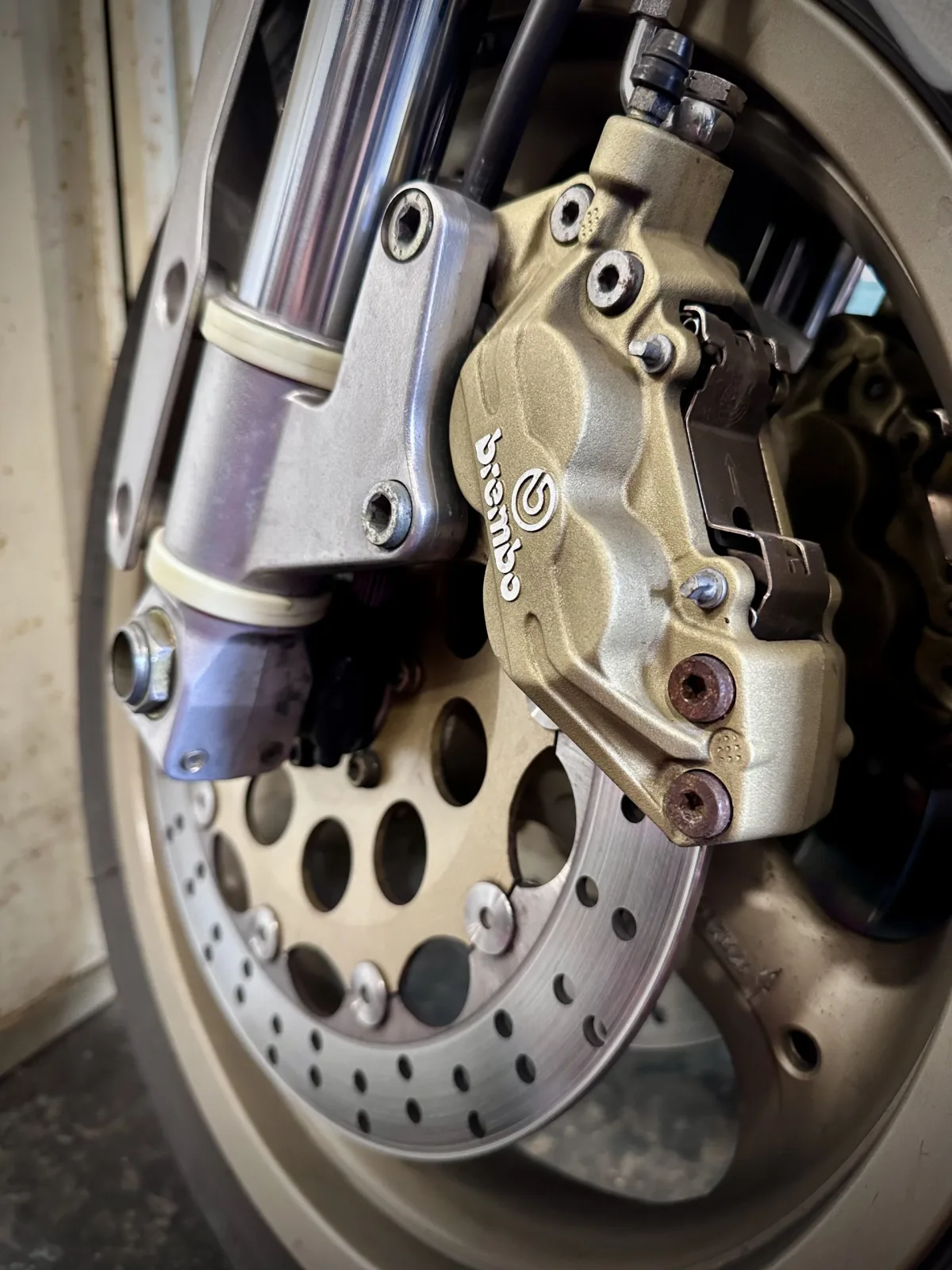 A front brake disc and caliper on the bench